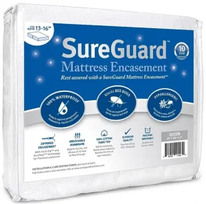 bed bug mattress cover
